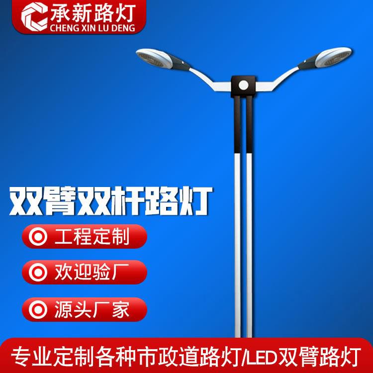 厂家led市政路灯7米91012常规投光灯双头高杆双臂超亮