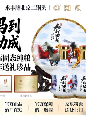永丰牌北京二锅头马到功成42度清香型白酒500ml*2瓶 限定文创礼盒