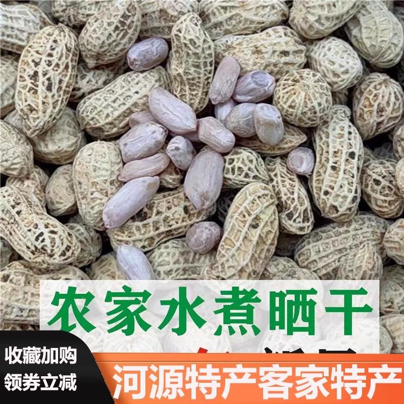 水煮花生晒干原味日晒河源忠信咸干白晒咸味农家新白肉花生中连平