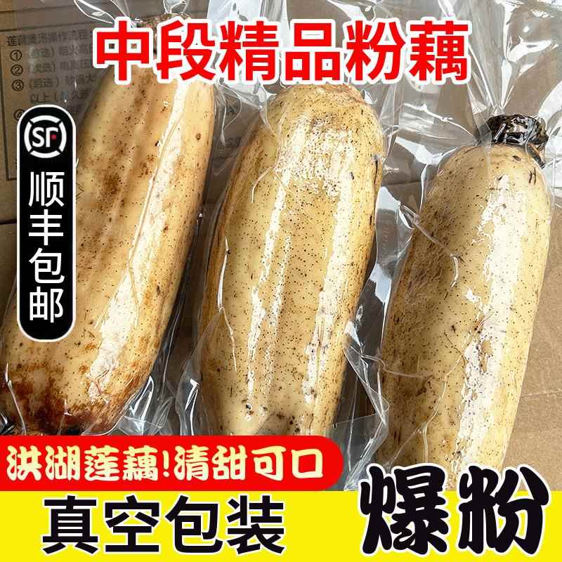 洪红湖挖粉藕特产莲新鲜煲汤炖汤九孔湖北现真藕空包装