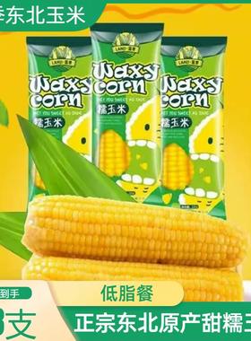 蓝季东北黄糯玉米8支2000g黄白黑鲜黄糯苞米棒早餐甜糯玉米旗舰店