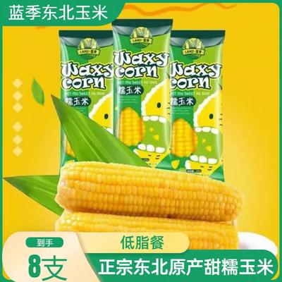 蓝季东北黄糯玉米8支2000g黄白黑鲜黄糯苞米棒早餐甜糯玉米旗舰店