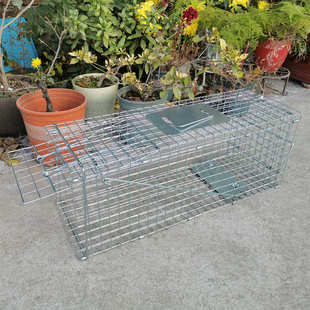 人道救助全自动捕猫笼捉猫神器抓驱赶黄鼠猫笼子流浪猫救助寻猫笼