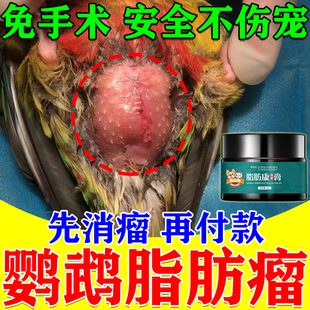 鹦鹉脂肪瘤快消特效药消肿瘤宠物皮肤鼓包皮下硬块乳腺瘤宠将瘤消