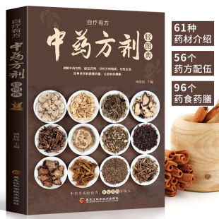 中药方剂轻图典 常见中药材功效解读中药知识入门对症调理养生药膳食谱书中医养生食疗书 大全百科书 中医书籍大全
