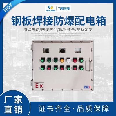 热销防爆仪表控制箱钢板焊接防爆配电箱圆孔防爆仪表箱