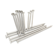 。304不锈钢包邮圆钉洋钉元钉钉子1寸2寸2.5寸3寸3.5寸456寸7寸8