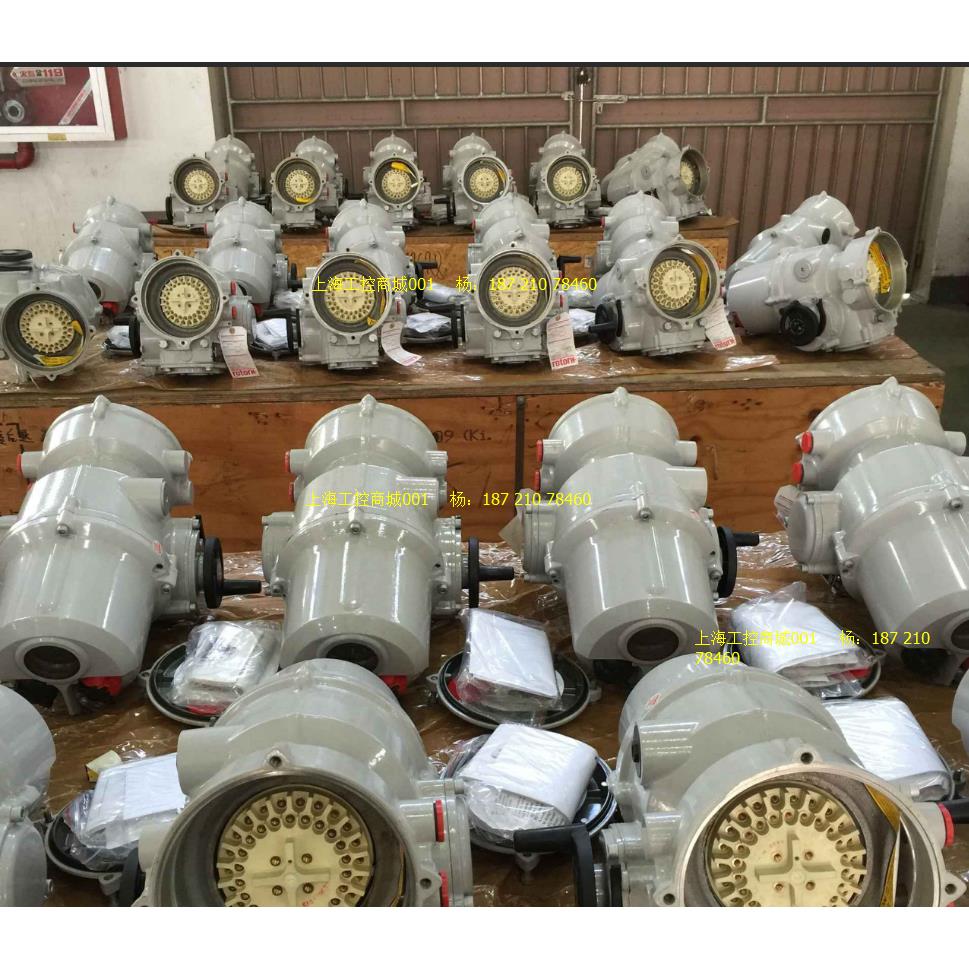 罗托克IQT125,IQT250,IQT500,IQT1000,IQT2000执行器比例板电源板