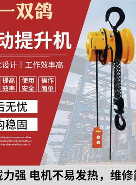 DHT-Z系列电动提升机3T*3M 链条式五一双鸽葫芦电动提升机