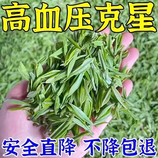 罗布麻降压茶血压克星杜仲糖脂三高龙诞正品降甘油三酯