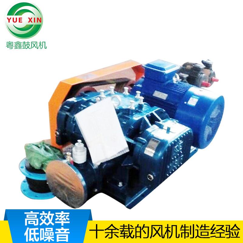 厂家供应NSR-100罗茨鼓风机耐磨性罗茨鼓风机防腐罗茨风机