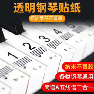 不留胶88键61键钢琴电子琴键盘透明贴纸五线谱音阶简钢琴键盘贴