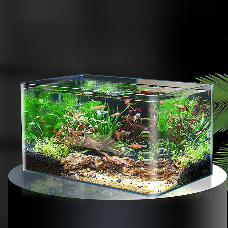 热弯玻璃鱼缸客厅小型水族箱桌面家用金鱼水造景长方形生态裸缸