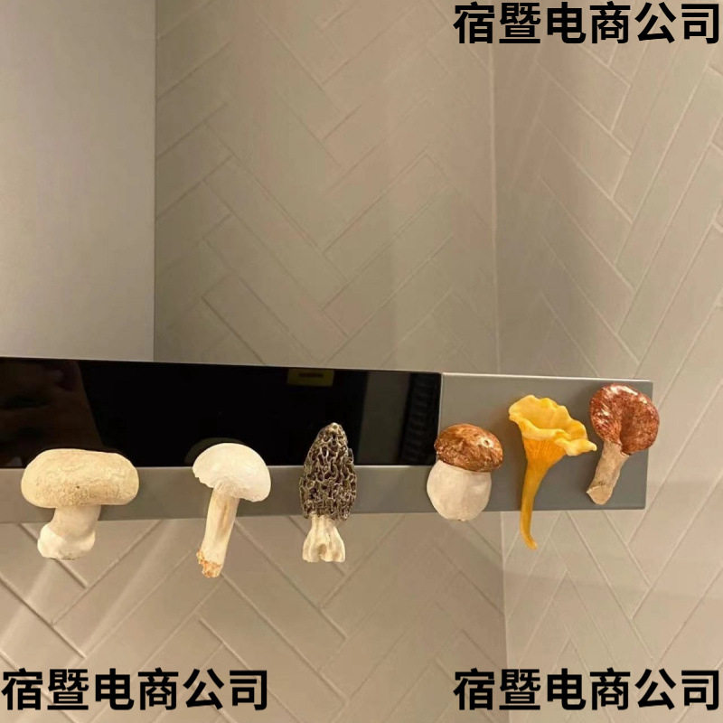 新款高颜值蘑菇磁吸式菌菇家族立体冰箱贴装饰网红摆件复古可