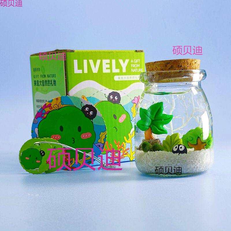 包邮海藻球微景观生态瓶水培球藻创意迷你植物桌面玻璃瓶盆栽礼物