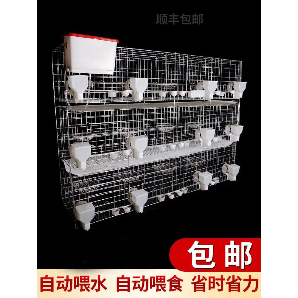 现货包邮鸽子笼家用用品12位养殖信鸽配对肉鸽繁殖鸽笼养殖笼