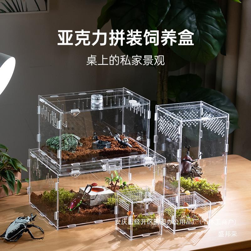 幼虫饲养盒爬虫饲养箱小型甲虫蜗牛仙盒子独角套装昆虫透明亚克力