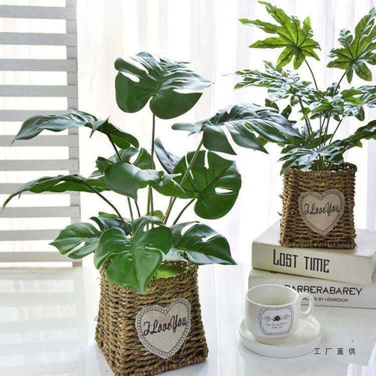 北欧仿真植物装饰摆件室内红掌绿植小盆栽客厅假花桌面盆景龟背竹