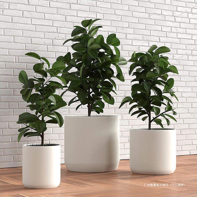 花盆陶瓷大号简约新款创意室内客厅发财树天堂鸟散尾葵送托盘小号