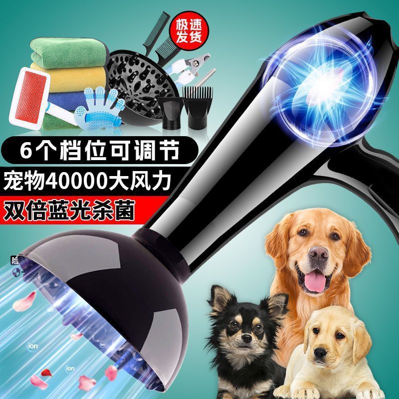 宠物吹风机大风力功率狗狗中小型犬猫咪洗澡吹干吹毛神器吹水机