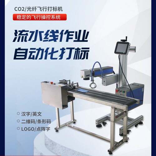 龙昇飞行流水线全自动包装袋五金机械管材PVC激光雕刻喷码打标机