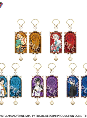 【预售不保单】DeNA家庭教师HITMAN REBORN!-角色双插立牌\挂件