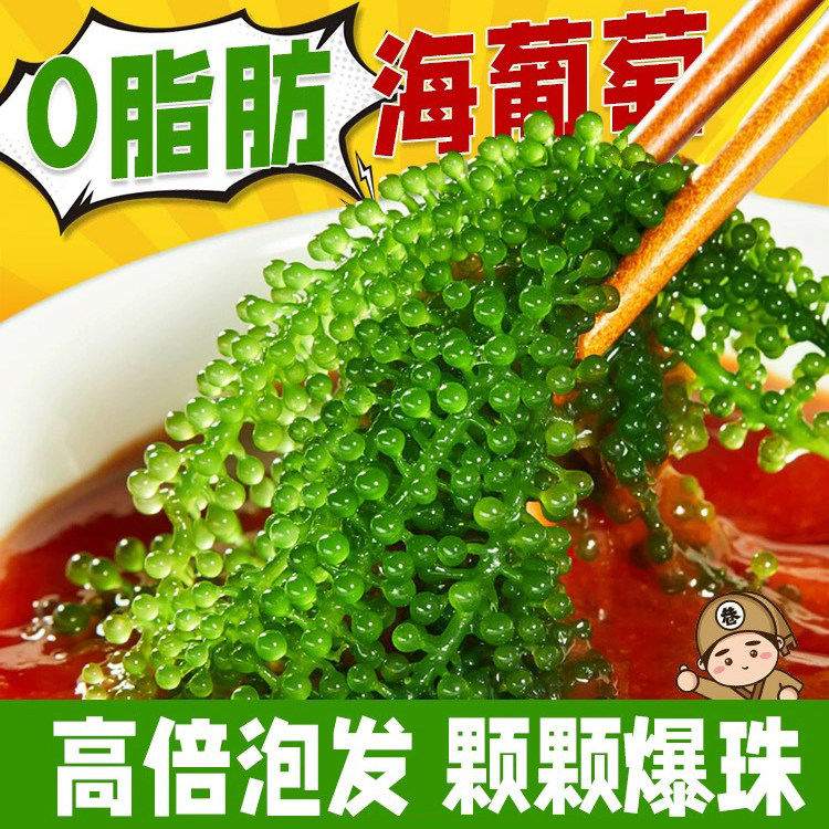 新鲜海葡萄即食长寿菜裙带菜海带海藻菜绿色鱼子酱送芥末酱油100g
