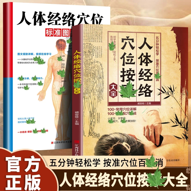人体经络穴位按摩大全人体经络穴位标准图册正版书籍准确找经络穴位按摩家庭实用养生图解手法推拿按摩手册人体经络穴位图解书籍