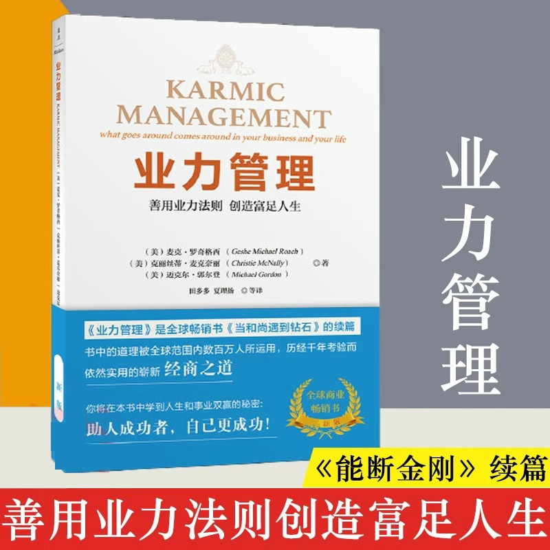 业力管理：善用业力法则创造富足人生 当和尚遇到钻石续篇能断金刚作者麦克·罗奇 畅销商业经营管理企业成长书