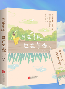 我在等风也在等你 一本洗涤心灵遇见爱情的书未来等你青春过往爱情永恒 21个情感故事 献给仍然相信爱情的你 言情小说青春校园小说