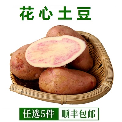 云南七彩土豆花心土豆新鲜丽江红心紫皮红皮高山紫色马铃薯洋芋