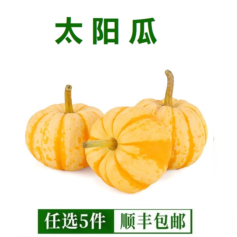 太阳瓜金贝贝南瓜小金瓜小桔瓜万圣节南瓜雕刻材料蔬菜1个约150g