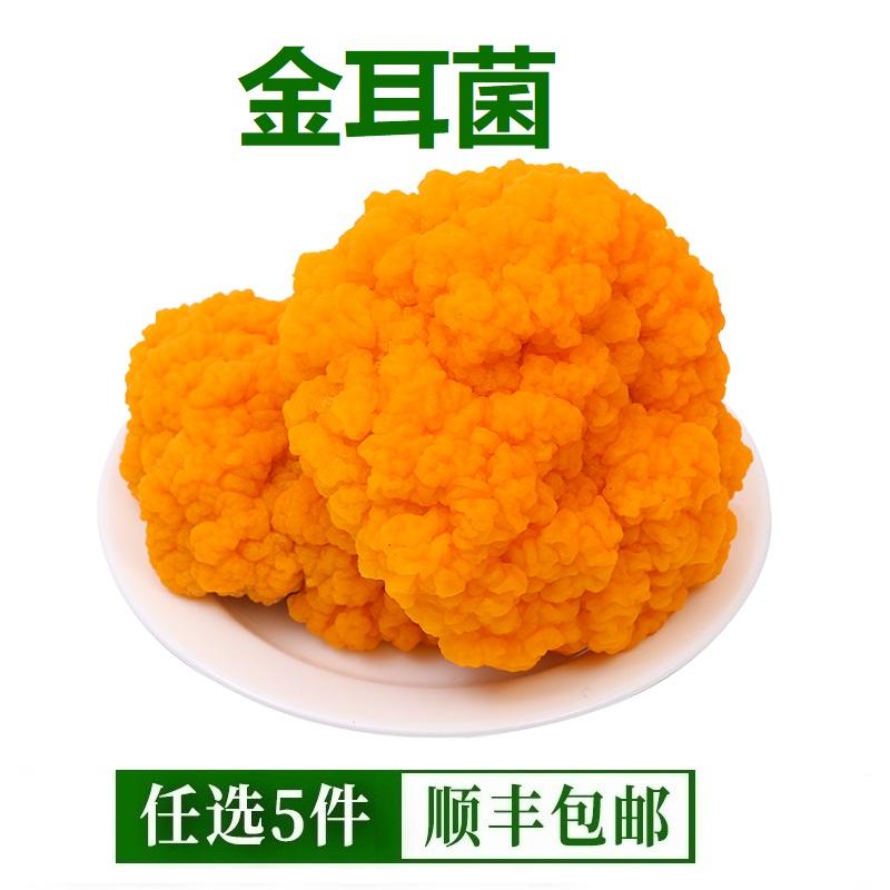 新鲜金耳菌 云南食用菌鲜菌黄金菇新鲜黄木耳刺身煲汤食材菌500g