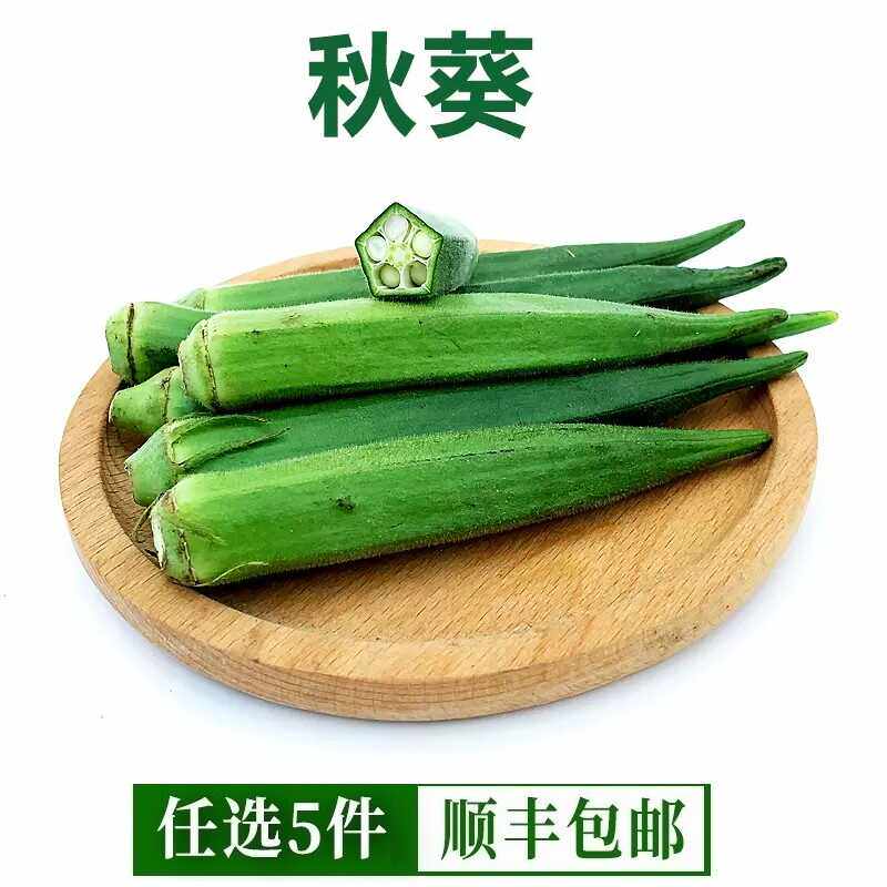 新鲜秋葵500g 水果黄秋葵 六角羊角豆 当季新鲜采摘福建农家蔬菜