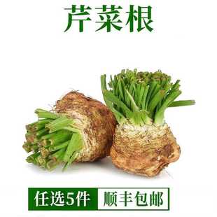根芹新鲜食用洋芹菜芹菜头西餐食材香料蔬菜芹菜根球块根塘蒿