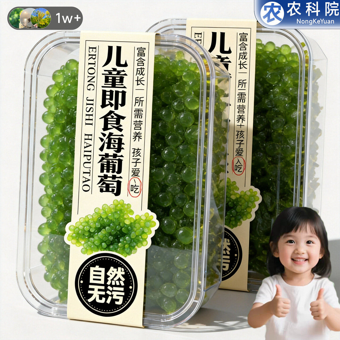儿童即食海葡萄官方旗舰店盐渍海葡萄火锅食材商用批发绿色鱼子酱