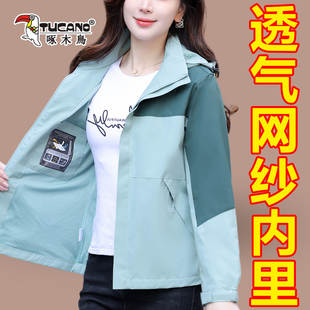 啄木鸟春季冲锋衣女款2025新款外套时尚洋气中年妈妈春季大码上衣
