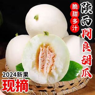 整箱 包邮 新鲜水果应季 陕西阎良甜瓜4.5斤装