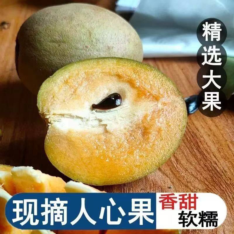 顺丰包邮 人心果 甜如蜜当季水果新鲜人心果人参果孕妇水果大果
