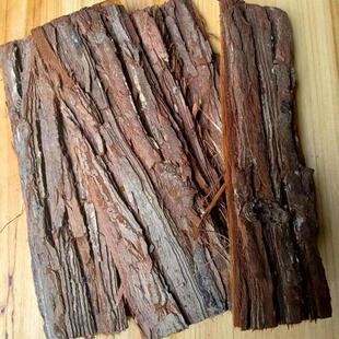 胡蜂养殖树皮胡蜂筑巢树皮材料杉木皮红娘胡蜂朽木杉树皮杉树皮