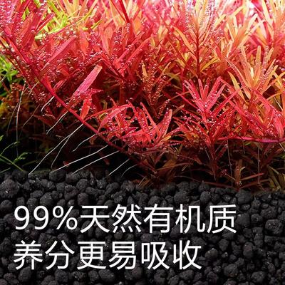 尼特利兰保水草泥生态缸专业用泥水藻泥开港伴侣基肥草缸造景底砂