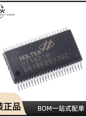 全新原装 HT1621B 封装  SSOP-48  LED驱动器