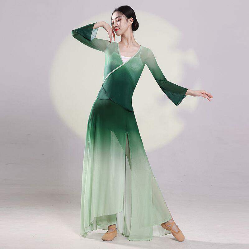 古典舞服身韵蝴蝶渐变雪纺纱衣女飘逸基训练功服中国舞舞蹈演出服