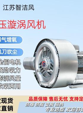 清洗干燥设备GRB-720H055/5.5KW双叶轮式漩涡鼓风机真空自动上料