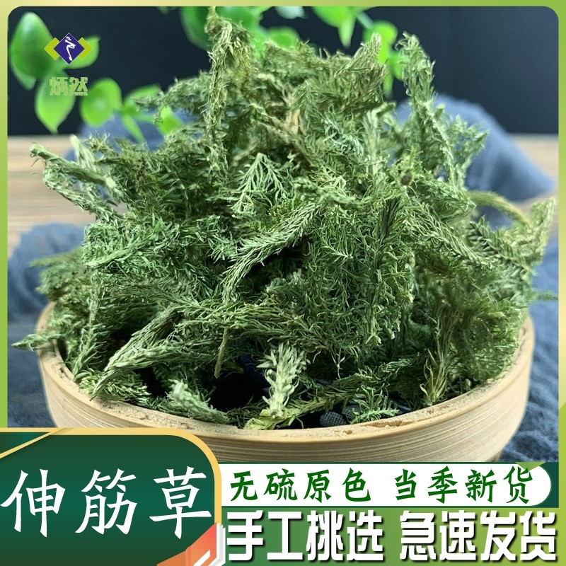 伸筋草500克g生筋草大伸舒筋草筋骨草非野生中药材另售远志益智仁