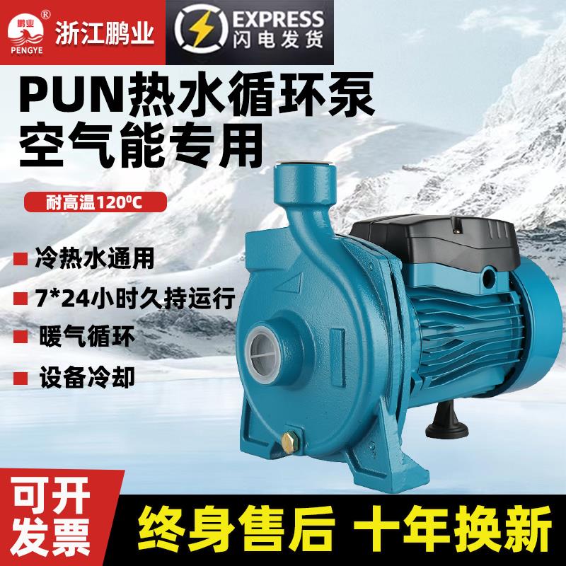 PUN空气能锅炉热水循环泵暖气锅炉全自动管道泵220v增压离心水泵