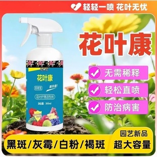花叶康喷雾正品 花卉多肉花卉植物病害一扫光 花病康杀菌剂喷雾月季