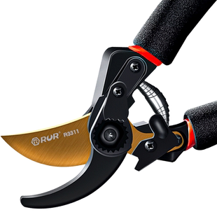 修枝剪园艺剪刀剪树枝专用剪刀园林修剪果树修枝花艺修花剪进口工