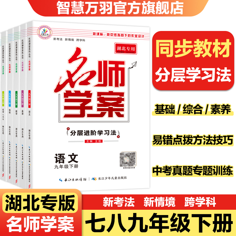 同步练习册名师学案初中必刷题