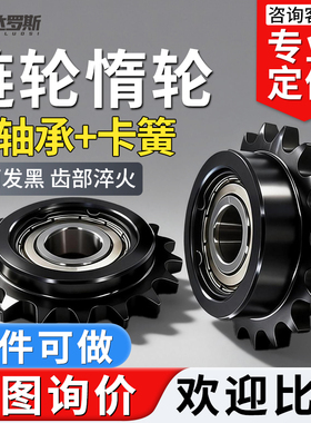 惰轮涨紧链轮4分5分6分1寸08B10A12A16A单双轴承DRC DRCW VLS012